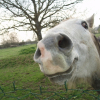 Photo de Bold silver