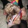 Photo de Quiz