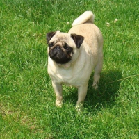 Photo de profil de Aloa