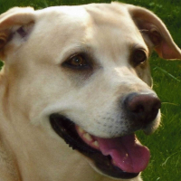 Photo de profil de Jessie
