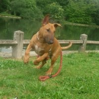 Photo de profil de Drasko