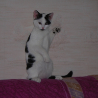 Photo de profil de Titi