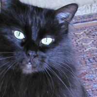 Photo de profil de Zoé