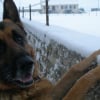 Photo de Alko