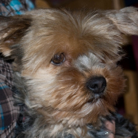 Photo de profil de Bounty