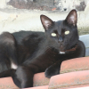 Photo de Billou