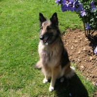 Photo de profil de Radieuse