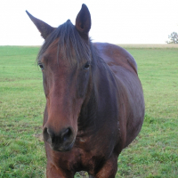 Photo de profil de Cracklunelière