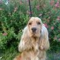 Photo de profil de Bourbon