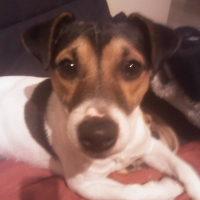 Photo de profil de Dahli