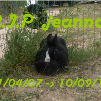 Photo de profil de Jeannot