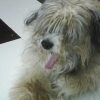 Photo de Charly