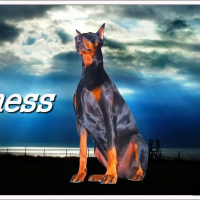 Photo de profil de Uness