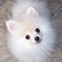 Photo de profil de Mae-mae