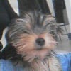 Photo de Kenzo
