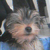 Photo de profil de Kenzo
