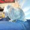 Photo de Princesse