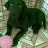 Photo de Khloe