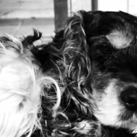 Photo de profil de Oona