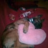 Photo de Spike
