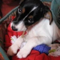 Photo de profil de Juno