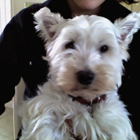 Photo de profil de Rosy