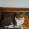 Photo de Caramel