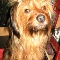 Photo de profil de Crokette