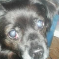 Photo de profil de Elliot
