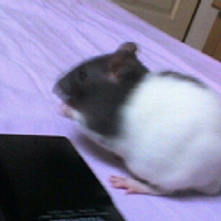 Photo de profil de Artus