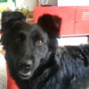 Photo de Belle