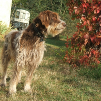 Photo de profil de Rime