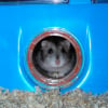 Photo de Mouky