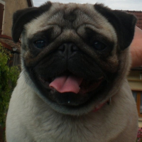 Photo de profil de Badiane