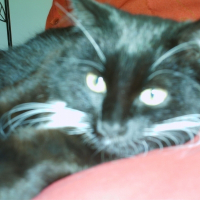 Photo de profil de Eureka