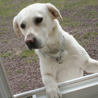 Photo de profil de Vicky