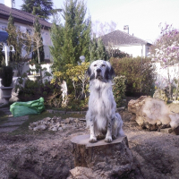 Photo de profil de Corto