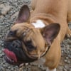 Photo de Dolce-vita
