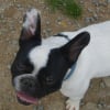 Photo de Dora