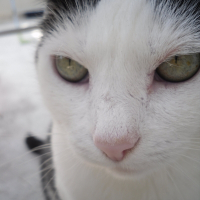 Photo de profil de Caline