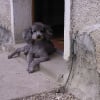 Photo de Ulysse