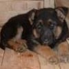 Photo de Maxou