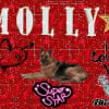 Photo de Molly du domaine du parc