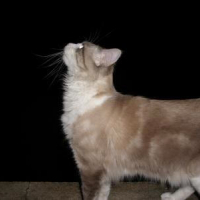 Photo de profil de Gandalf