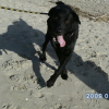 Photo de Doudou