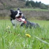 Photo de Spyke
