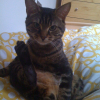 Photo de Bart