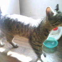 Photo de profil de Mickey