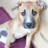 Photo de profil de Lola