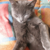Photo de Minette